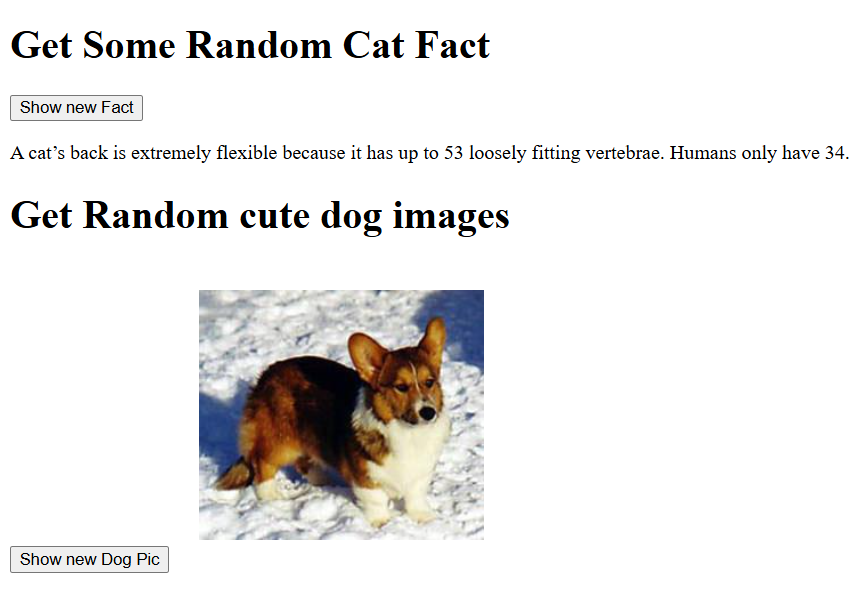 Cat Facts & Dog Images Generator